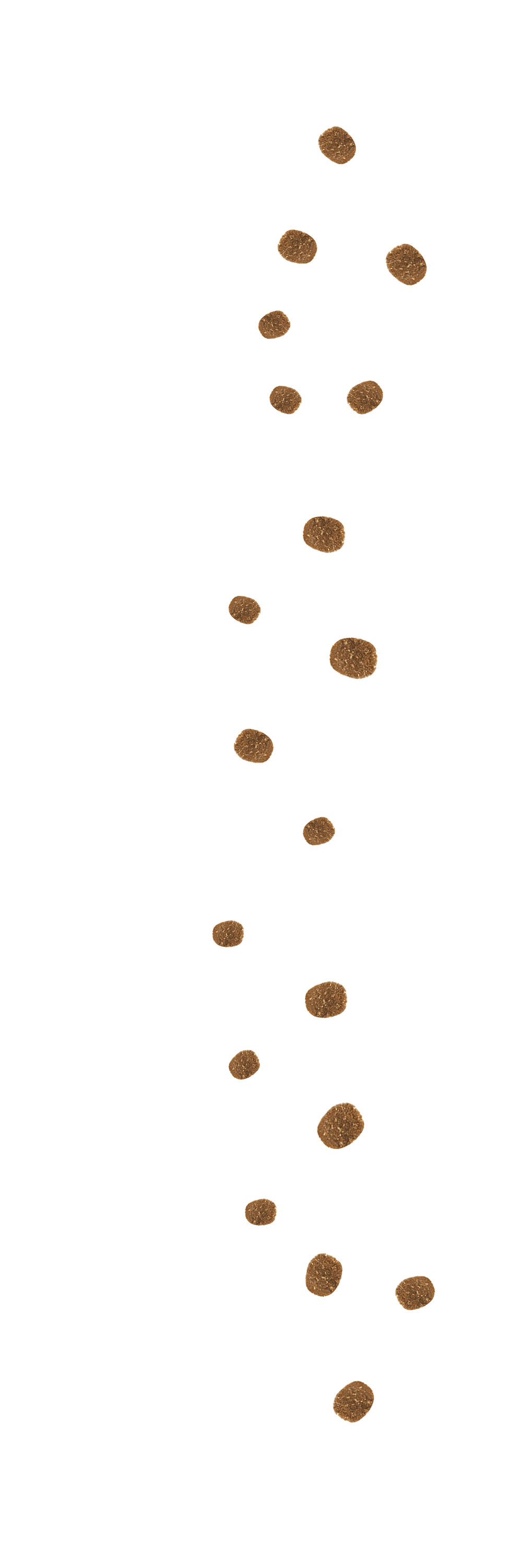 product1